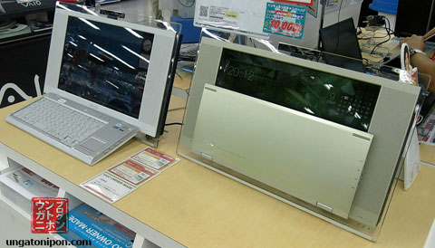 Vaio japonés