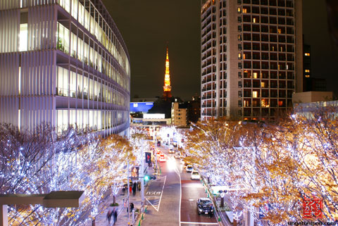 Roppongi por la noche en Navidad