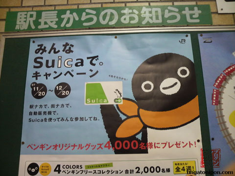 Suica 1