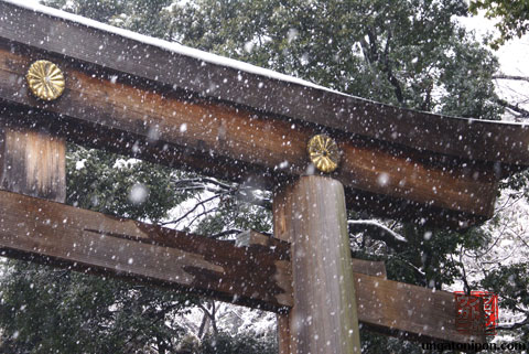 Nieve en Tokyo