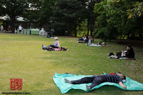 Parque de Shinjuku Gyouen