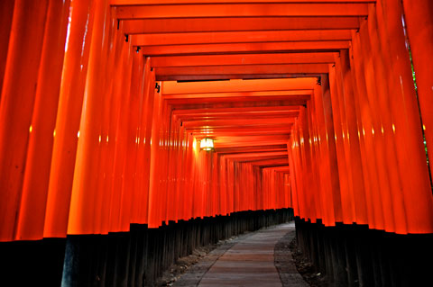 Fushimi Inari