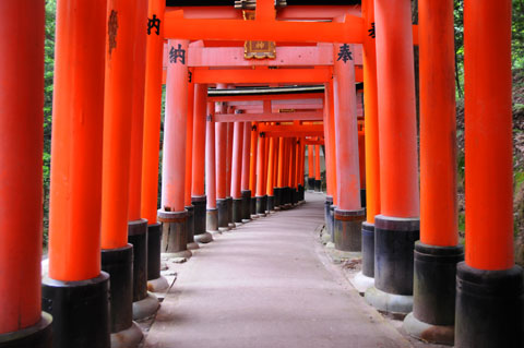 Fushimi Inari