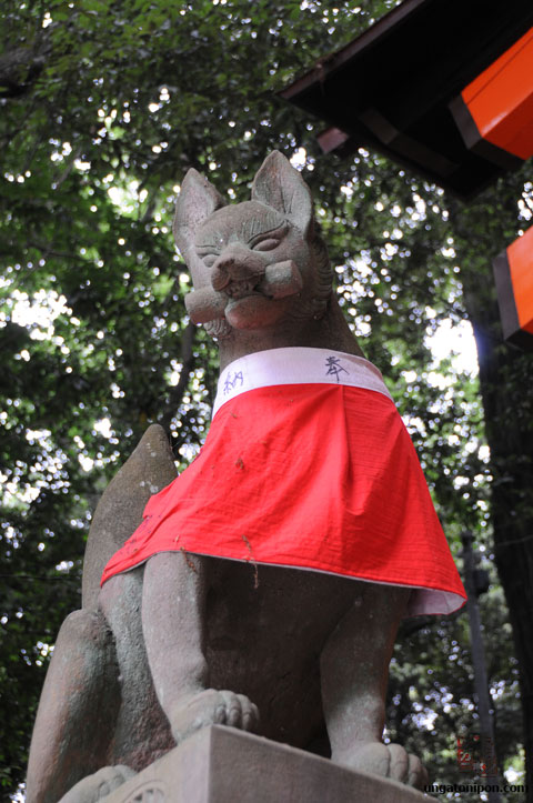 Zorro Fushimi Inari