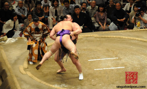 Luchadores de Sumo