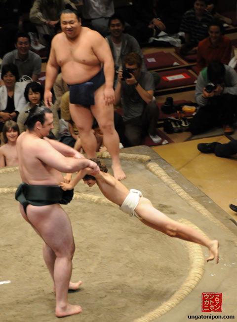 Luchadores de Sumo y niños Volando y tal