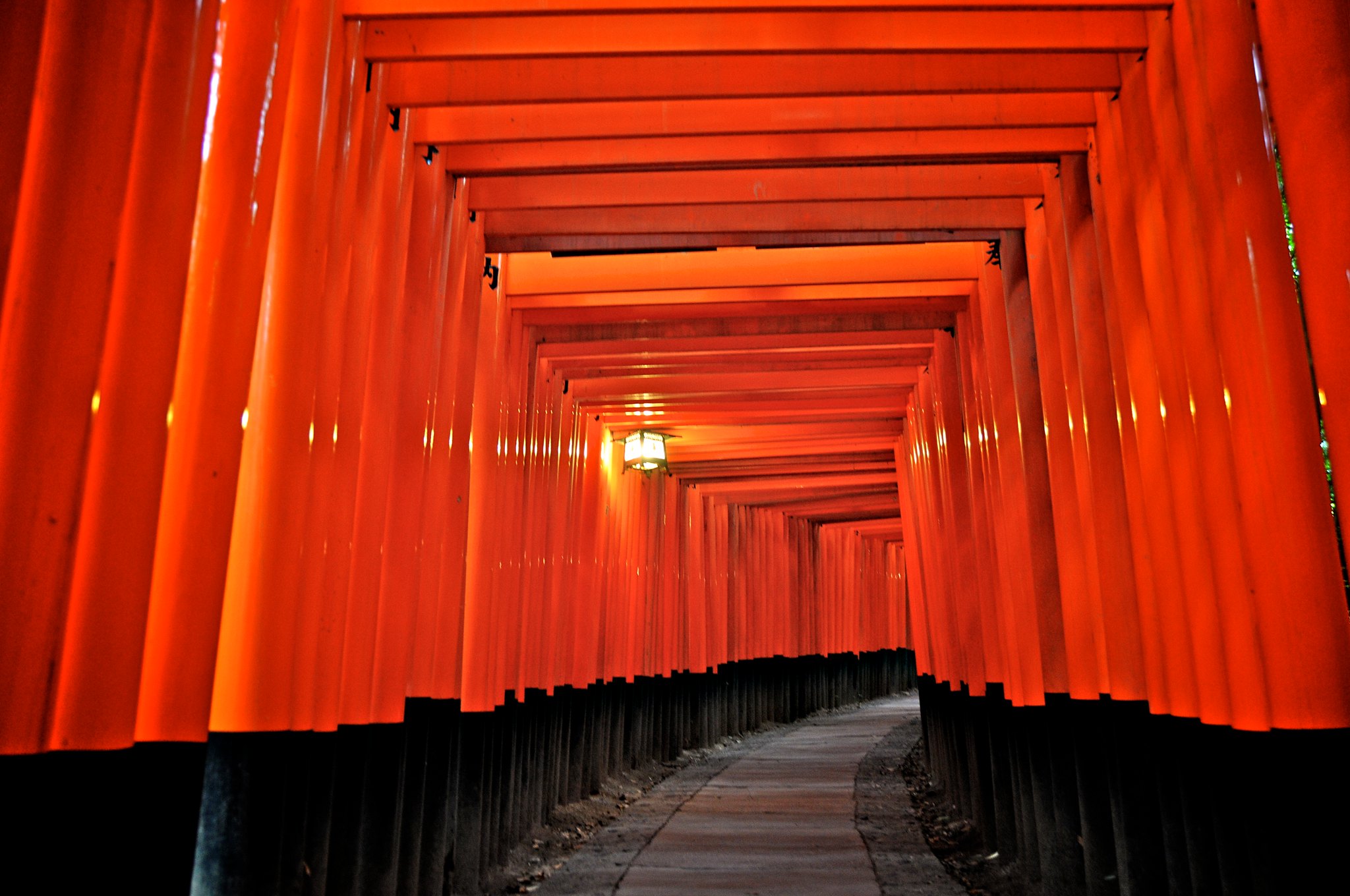 Fushimi Inari Taisha, fotografiada por mi mismo