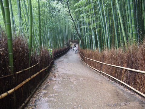 Takebayashi de Tenryuji