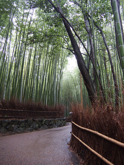 Takebayashi de Tenryuji