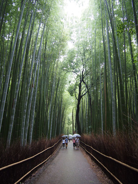 Takebayashi de Tenryuji