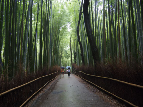 Takebayashi de Tenryuji