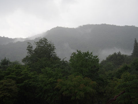 Tenryuji