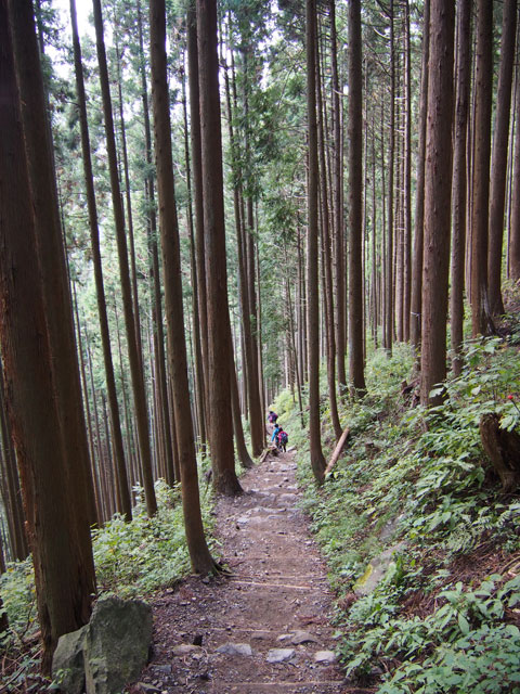 Caminata por el Monte Mitake