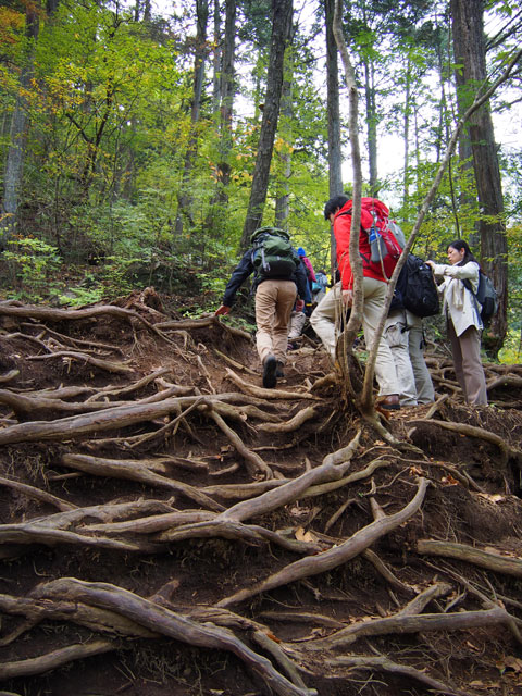 Caminata por el riachuelo del Monte Mitake