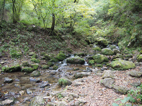 Caminata por el riachuelo del Monte Mitake