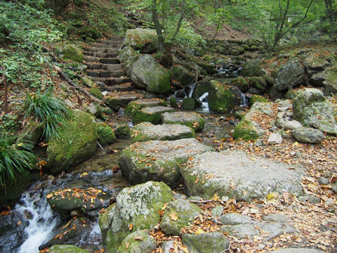 Caminata por el riachuelo del Monte Mitake