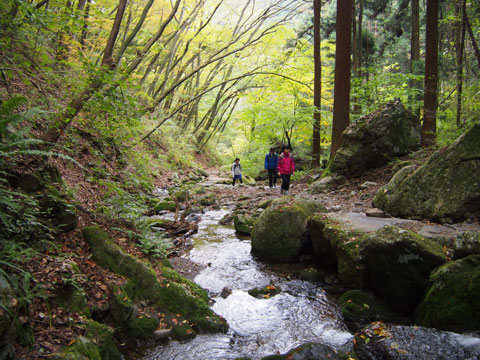 Caminata por el riachuelo del Monte Mitake