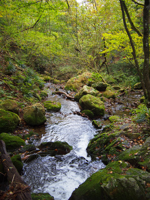 Caminata por el riachuelo del Monte Mitake