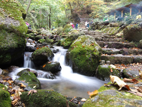 Caminata por el riachuelo del Monte Mitake