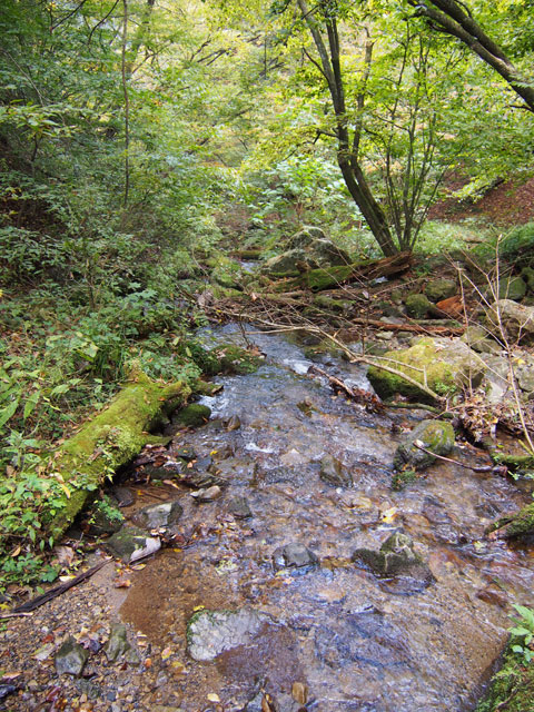 Caminata por el riachuelo del Monte Mitake