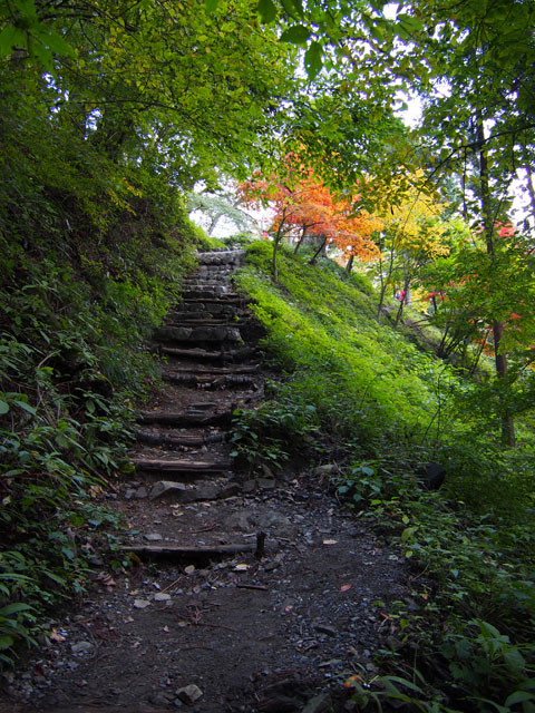 Caminata por el Monte Mitake