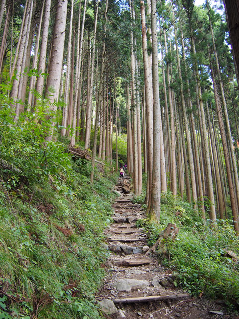 Caminata por el Monte Mitake
