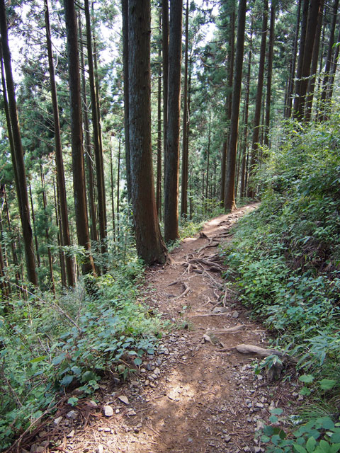 Caminata por el Monte Mitake