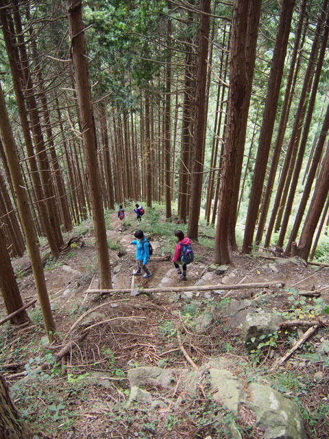 Caminata por el Monte Mitake