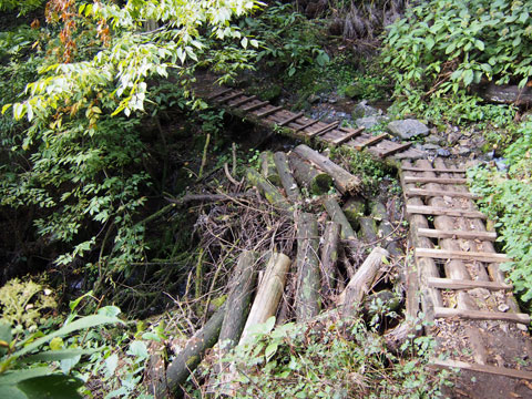 Caminata por el Monte Mitake