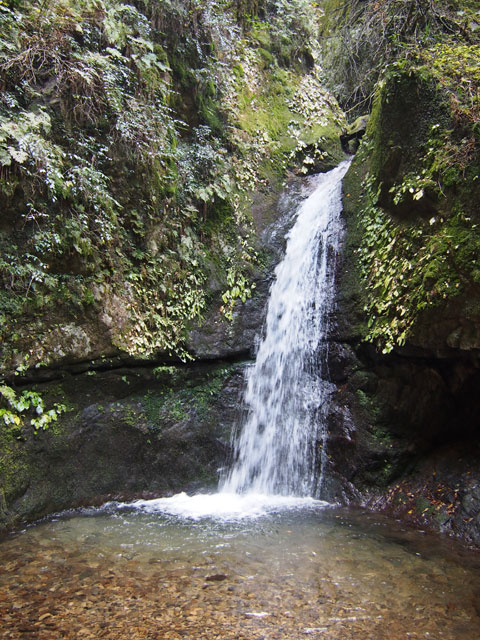 Caminata por el Monte Mitake