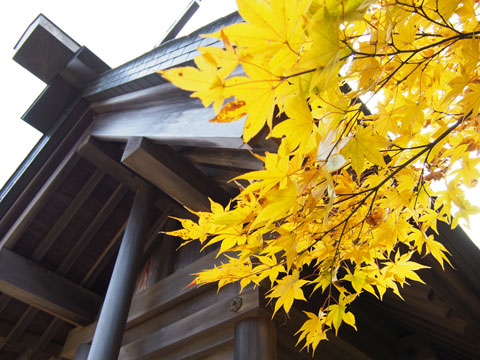 Kouyou en el Templo del Monte Mitake