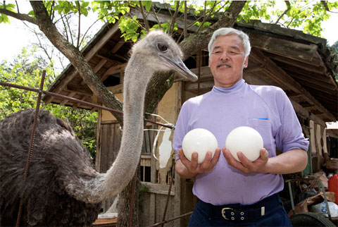 Macchan con los animales