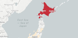 Mapa del Corona virus en Japón