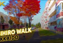 Paseando por Obihiro