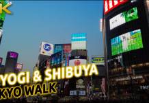 Paseando por Yoyogi y Shibuya
