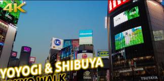 Paseando por Yoyogi y Shibuya