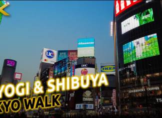 Paseando por Yoyogi y Shibuya