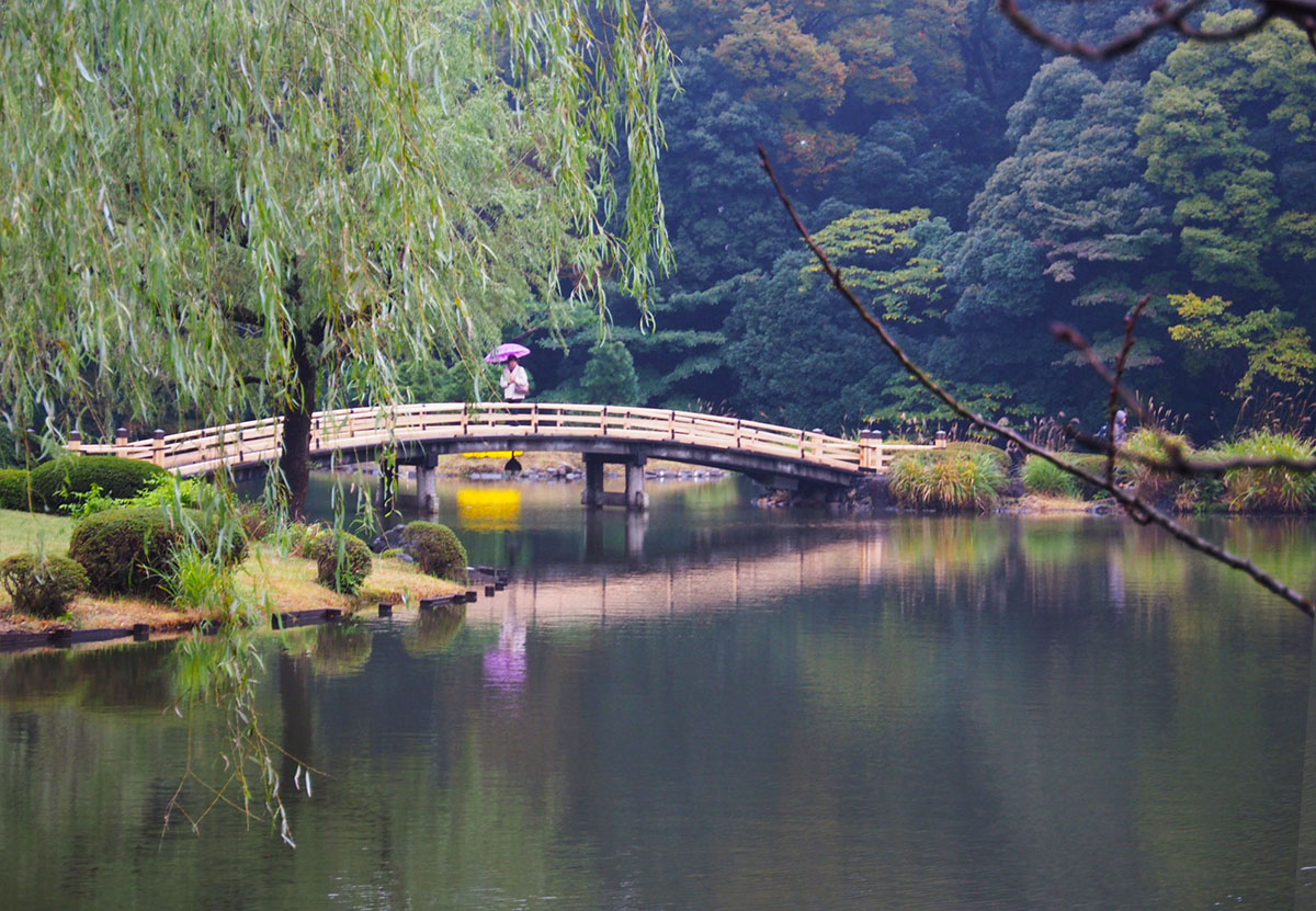 Lago de Shinjuku Gyoen